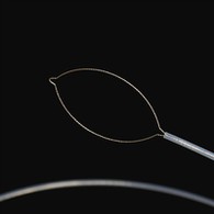 Bangogo ya Nzutu ya Bansi ya Nti