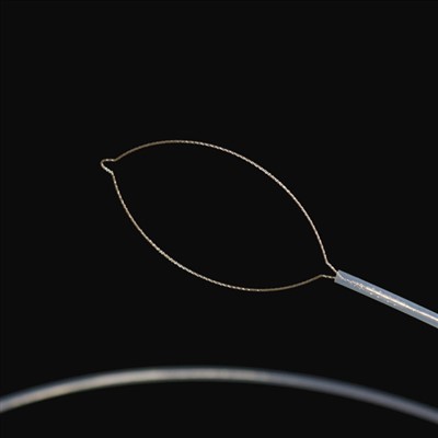 Bafoto ya Nzutu ya Banzenza ya Mutindu ya Bakole